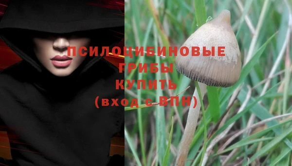 экстази Алексеевка