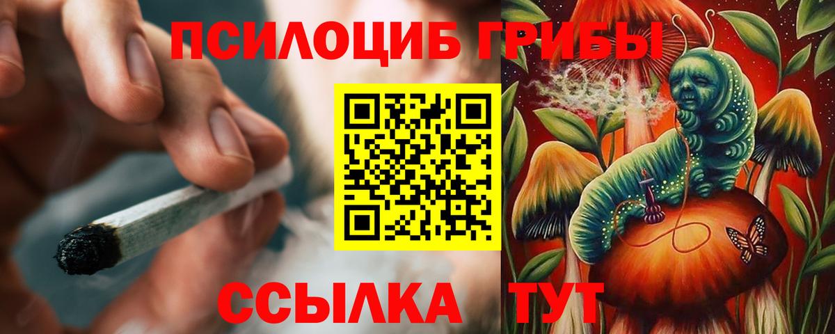 Псилоцибиновые грибы Psilocybine cubensis Миасс